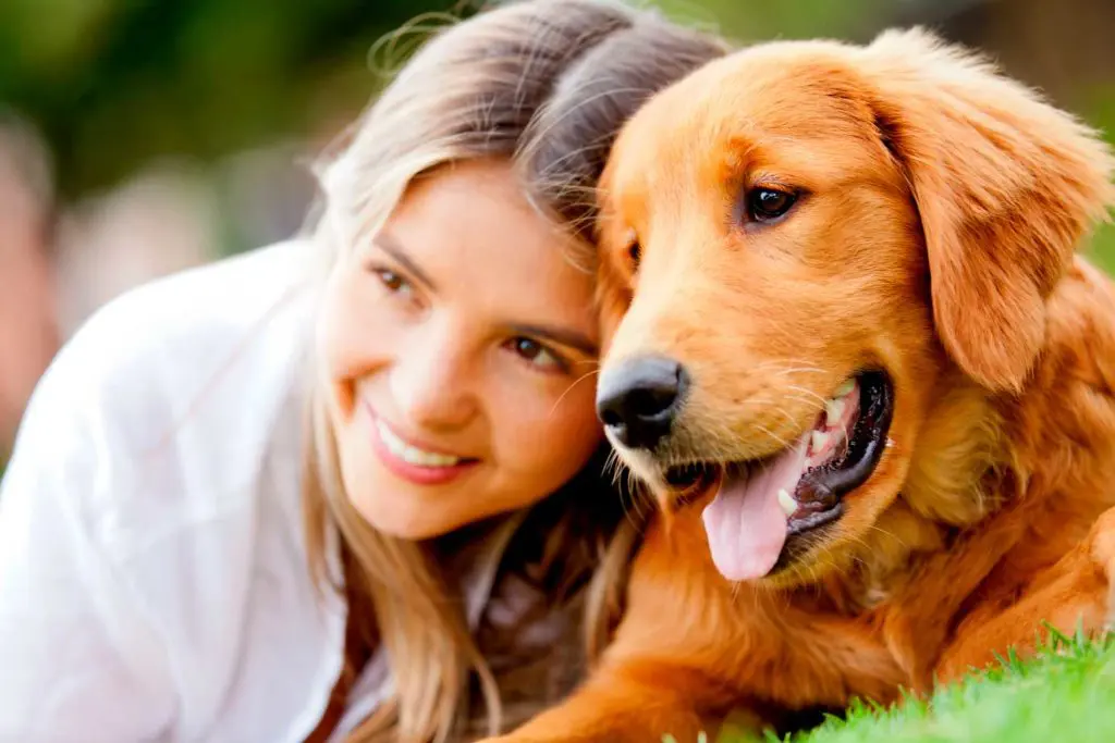 esterilizacion-perra