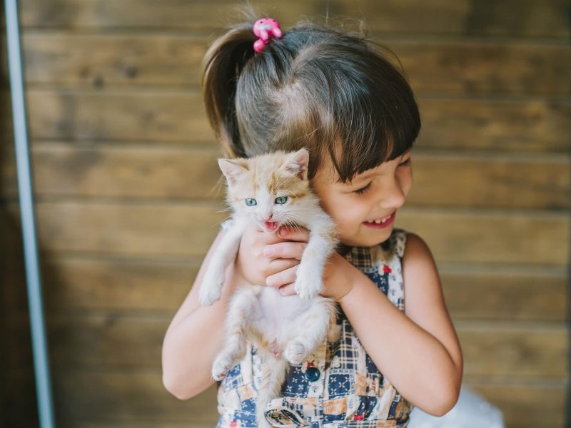 niña con gatito