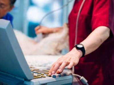 VETERINARIA-EUROPA086-2