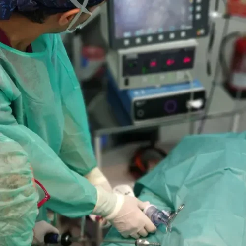 cveuropa-LAPARATOMIA FUCO NUVOA-6