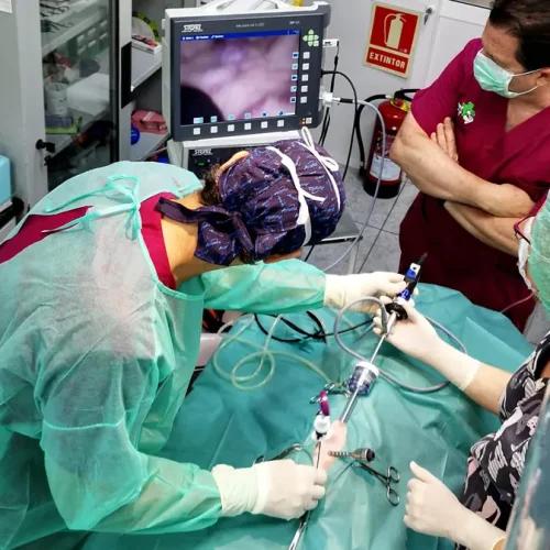 cveuropa-LAPAROSCOPIA_01-1