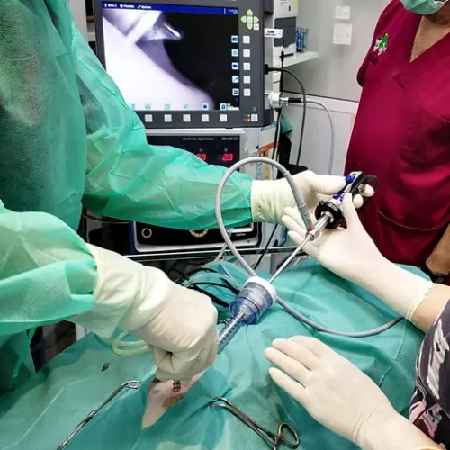 cveuropa-LAPAROSCOPIA_04