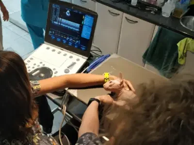 cveuropa-cardiologia