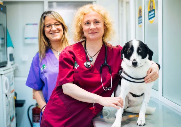 cveuropa-equipo-veterinario-atv