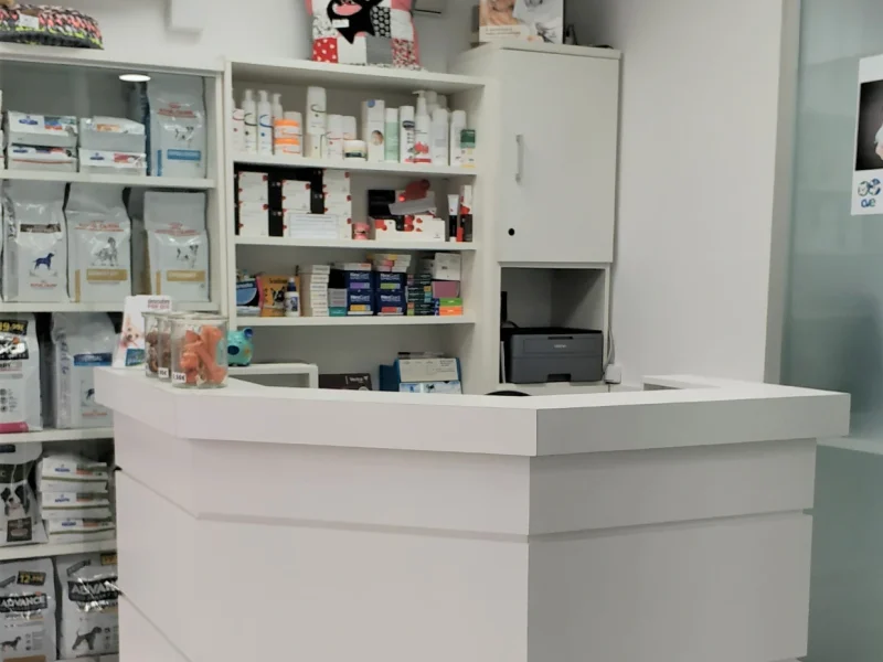 cveuropa-instalaciones-recepcion