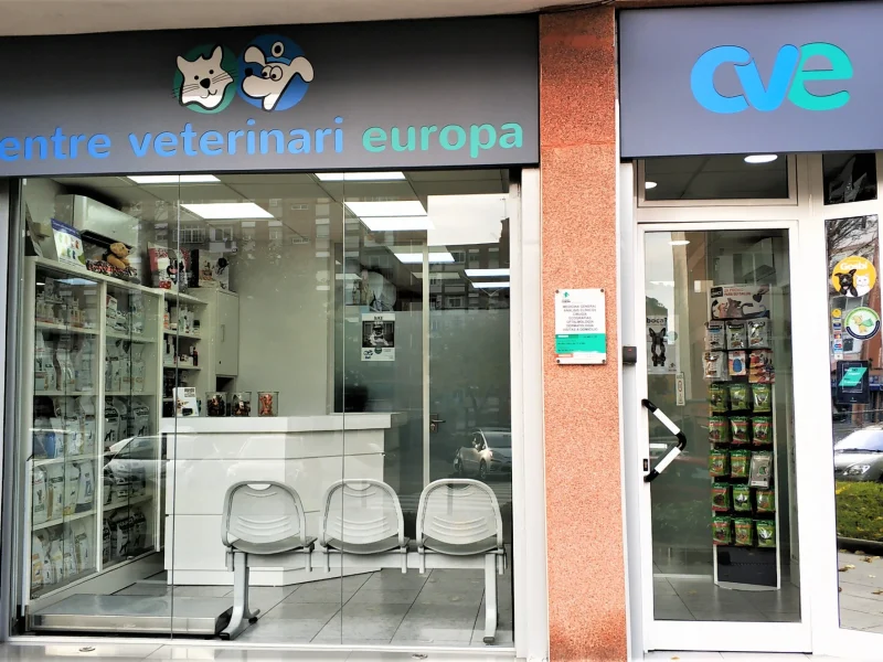 cveuropa-instalaciones1