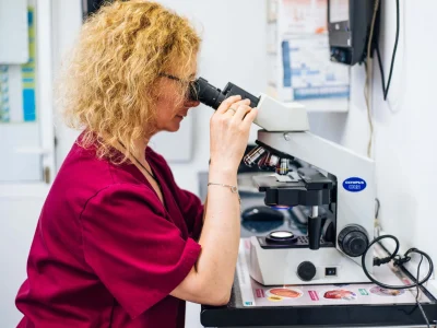 cveuropa-laboratorio