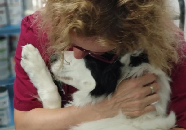 cveuropa-veterinaria-pilar-abraza-perro