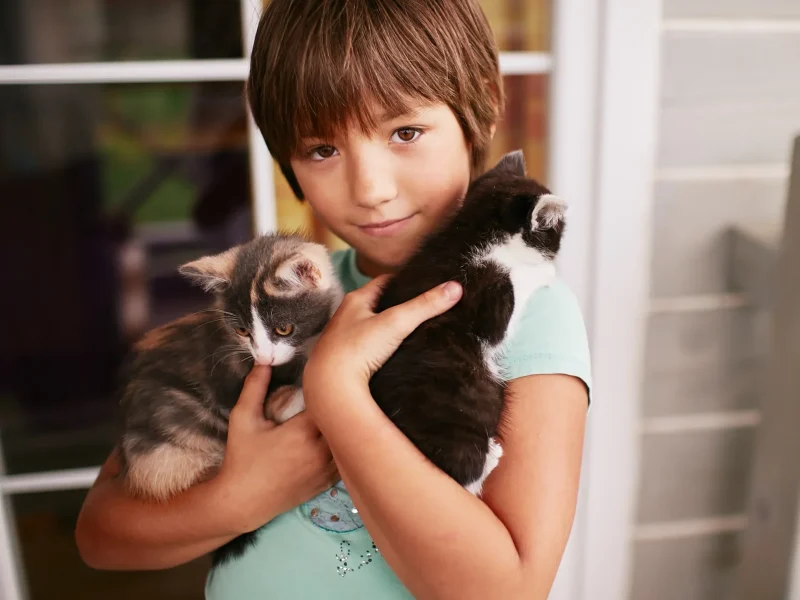 nino-encantador-tiene-dos-gatitos-en-sus-brazos